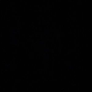 Meet your Posher, Nicia